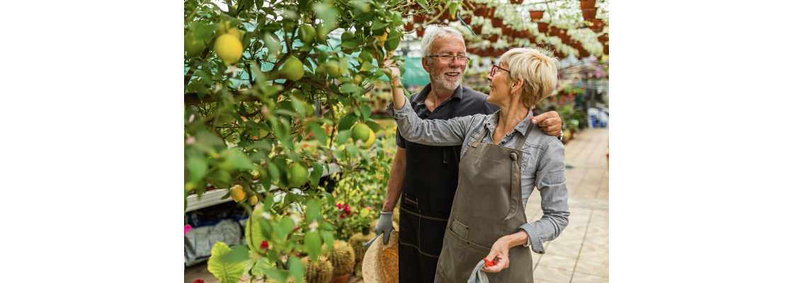 https://www.funkyreaders.co.uk/image/cache/catalog/a%20Licensed%20images/happy-senior-couple-talking-while-admiring-lemon-t-2024-12-13-20-02-15-utc-1120x400.png