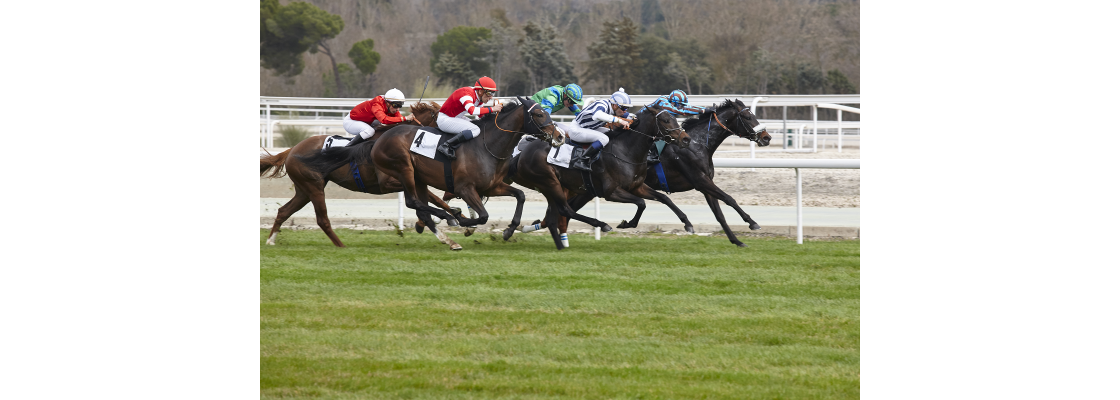 https://www.funkyreaders.co.uk/image/cache/catalog/a%20Licensed%20images/horse-race-final-rush-cheltenham-2025-01-27-17-25-35-utc-1120x400.png