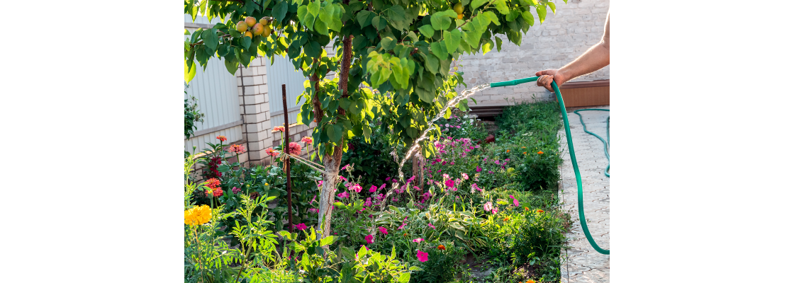 https://www.funkyreaders.co.uk/image/cache/catalog/a%20Licensed%20images/june-2025-gardening-tips-2024-12-05-18-28-40-utc-1120x400.png