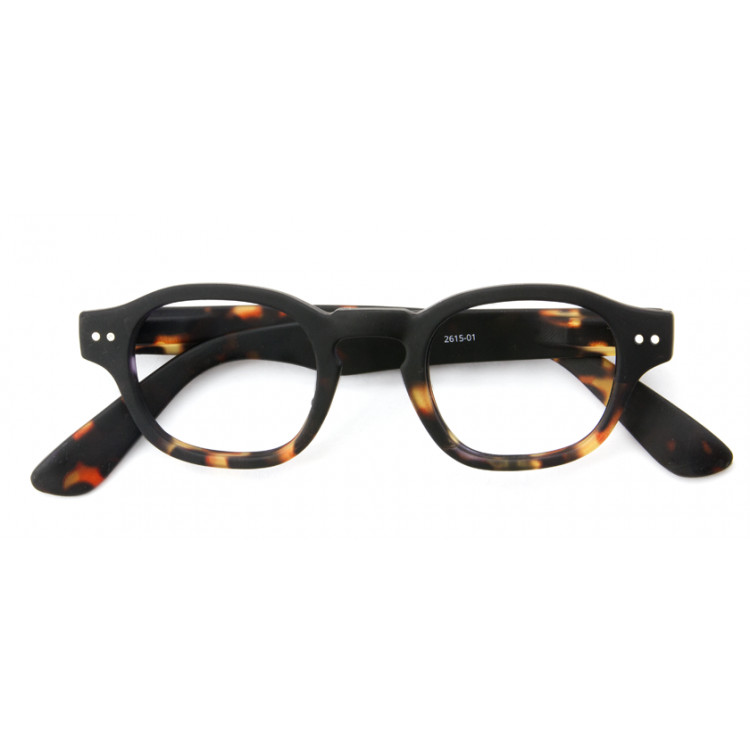 Read loop everglade noir tortoise unisex reading glasses 