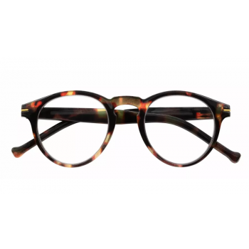 I Need You Frankie Dark Tortoise