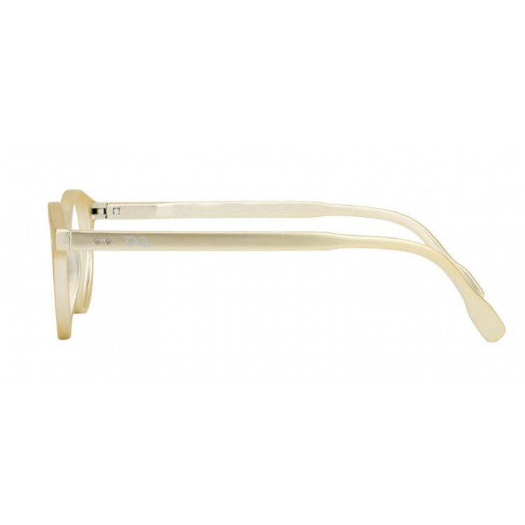 Read loop tradition gold unisex fashion reading glasses 