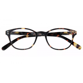 I Need You Cambridge tortoise matt  reading glasses